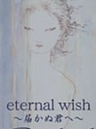 eternal wish～届かぬ君へ～