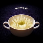 soup