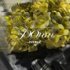 500nm