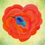 Hummingbird（愛のうた）