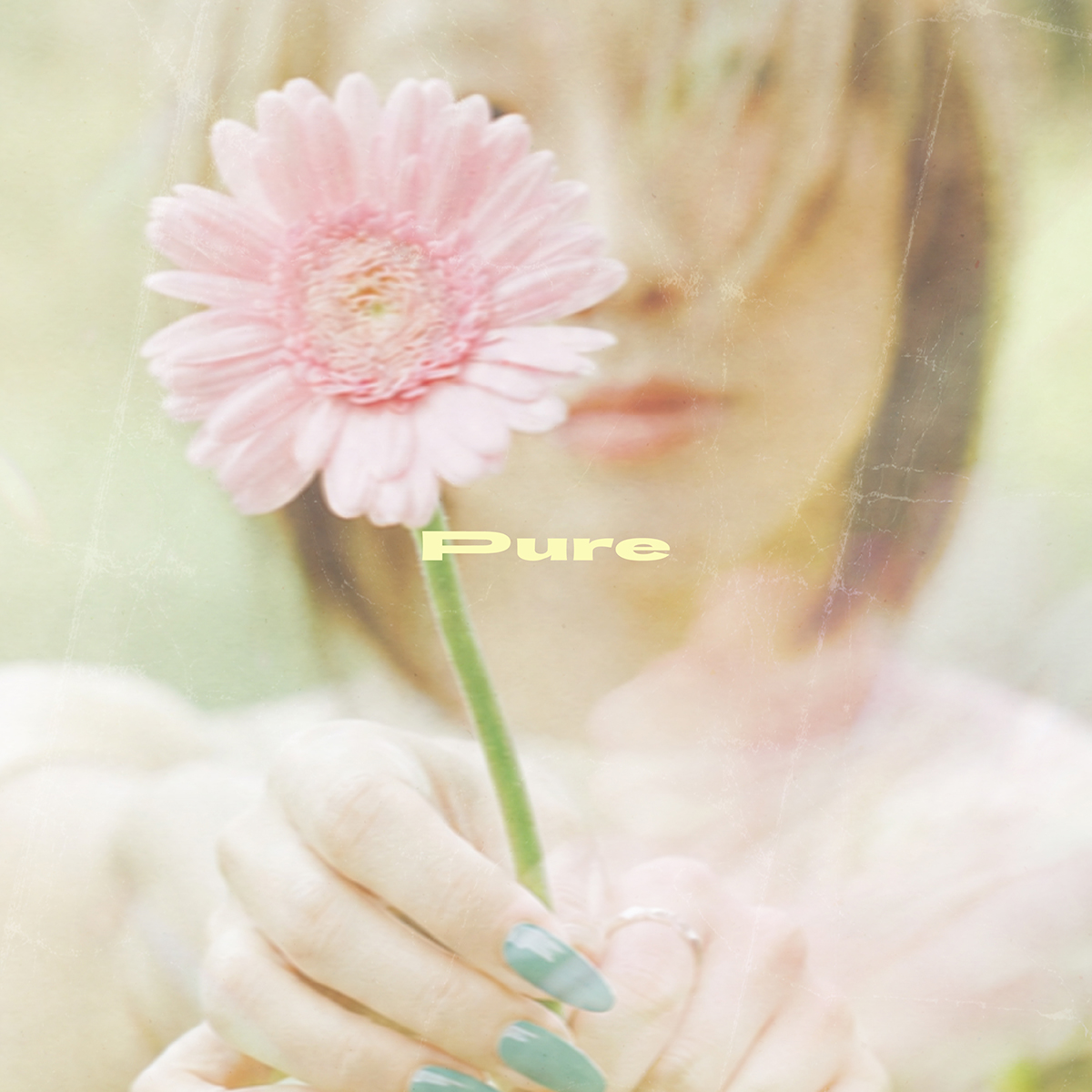 Pure ジャケット